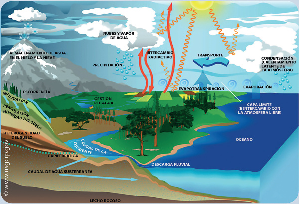 Ilustración de ciclo del agua
