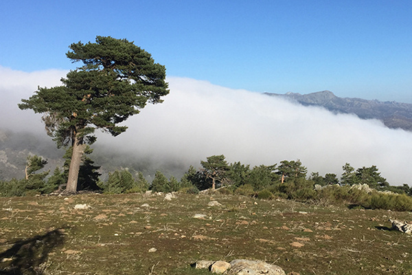 Imagen de cascada de nubes por efecto Foehn en el P.N. de la Sierra de Guadarrama
